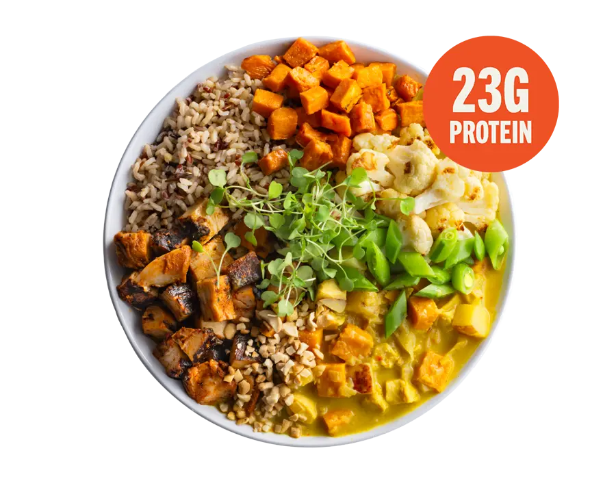 Cafe Zupas Rice Bowl